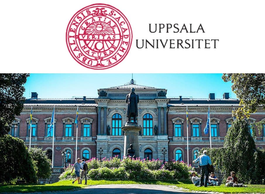 Excel som ett språk för affärer: insikter från Uppsala universitet.