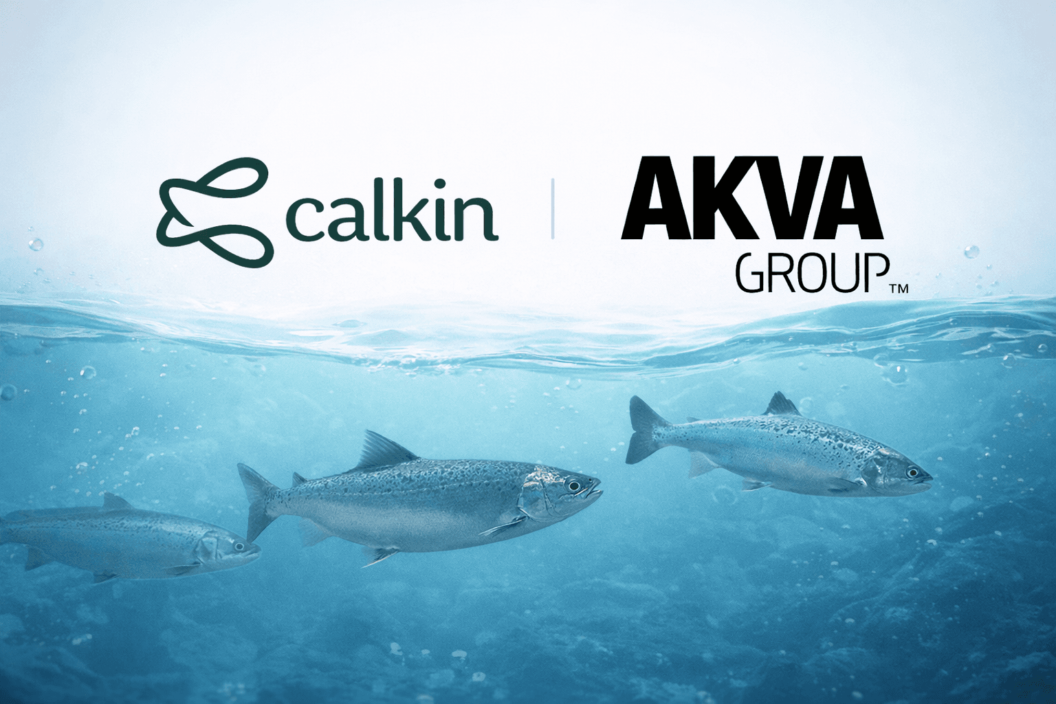 Vi är glada att välkomna AKVA Group till Calkin-communityt.